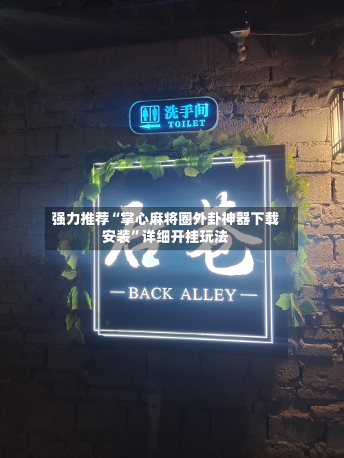 强力推荐“掌心麻将圈外卦神器下载安装”详细开挂玩法-第2张图片