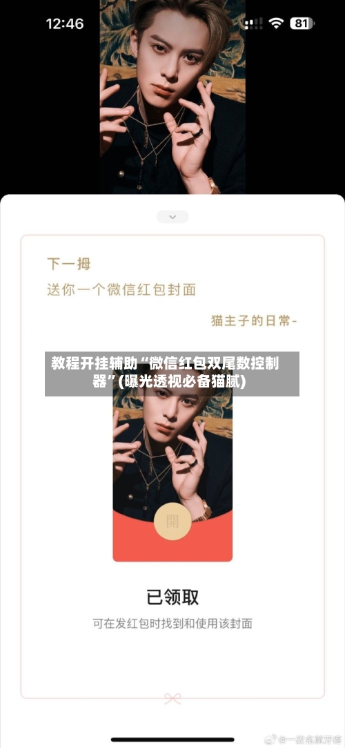 教程开挂辅助“微信红包双尾数控制器	”(曝光透视必备猫腻)-第2张图片