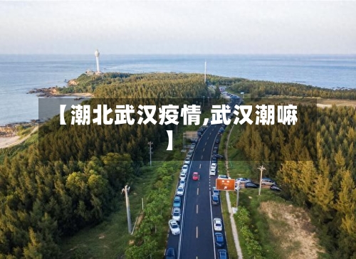 【潮北武汉疫情,武汉潮嘛】-第3张图片