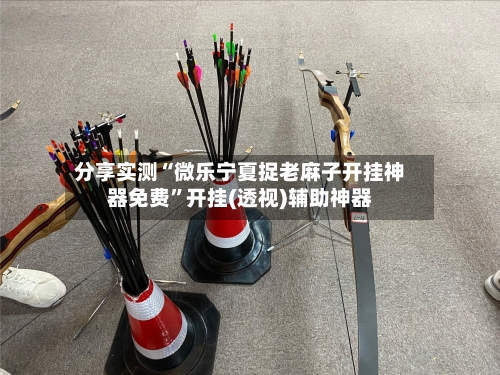 分享实测“微乐宁夏捉老麻子开挂神器免费”开挂(透视)辅助神器-第2张图片