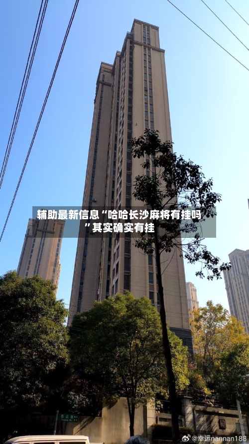 辅助最新信息“哈哈长沙麻将有挂吗”其实确实有挂