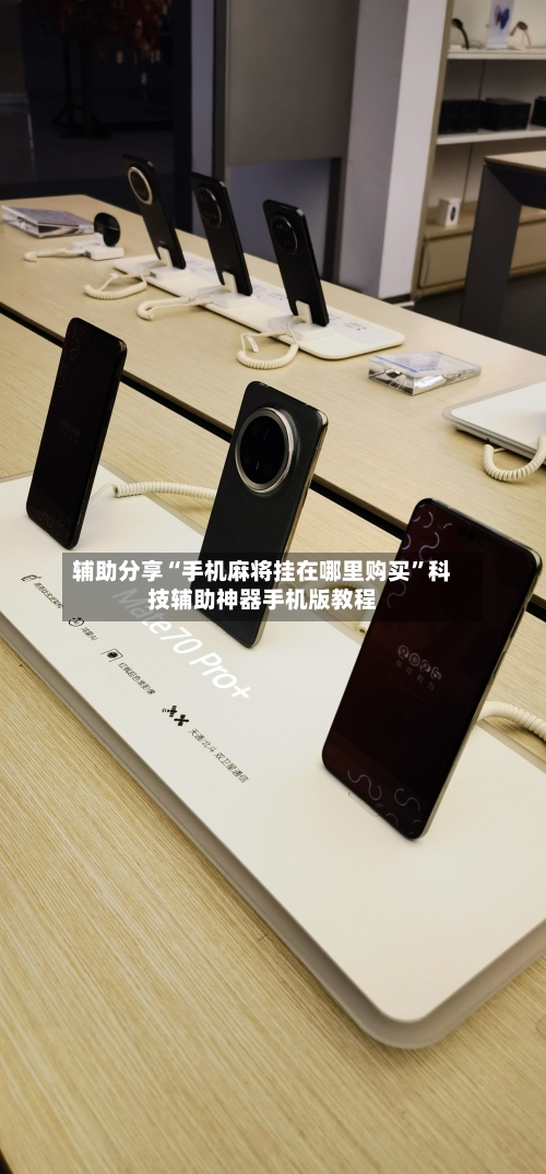 辅助分享“手机麻将挂在哪里购买”科技辅助神器手机版教程-第2张图片