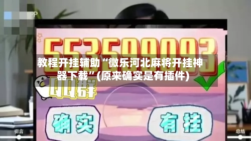 教程开挂辅助“微乐河北麻将开挂神器下载”(原来确实是有插件)-第2张图片