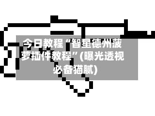 今日教程“智星德州菠萝插件教程”(曝光透视必备猫腻)-第2张图片