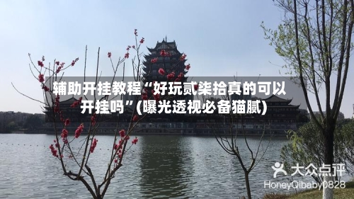 辅助开挂教程“好玩贰柒拾真的可以开挂吗	”(曝光透视必备猫腻)-第2张图片