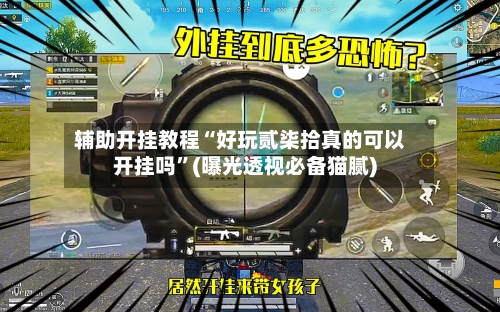 辅助开挂教程“好玩贰柒拾真的可以开挂吗”(曝光透视必备猫腻)-第3张图片