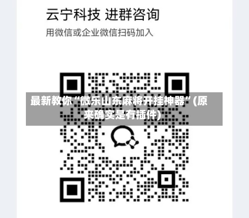 最新教你“微乐山东麻将开挂神器”(原来确实是有插件)-第3张图片