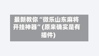 最新教你“微乐山东麻将开挂神器”(原来确实是有插件)-第2张图片