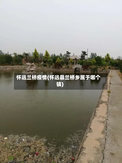 怀远兰桥疫情(怀远县兰桥乡属于哪个镇)-第2张图片