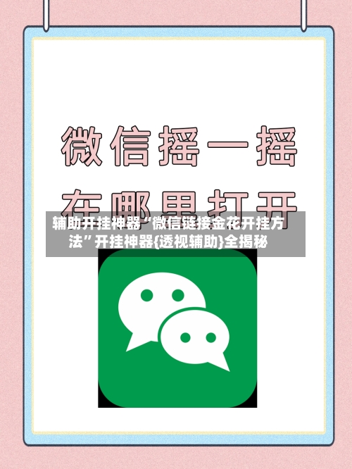 辅助开挂神器“微信链接金花开挂方法”开挂神器{透视辅助}全揭秘-第3张图片