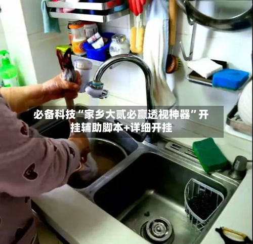 必备科技“家乡大贰必赢透视神器”开挂辅助脚本+详细开挂-第3张图片