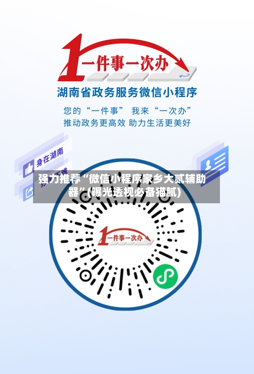 强力推荐“微信小程序家乡大贰辅助器	”(曝光透视必备猫腻)-第2张图片