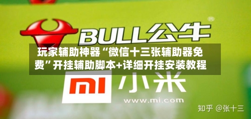 玩家辅助神器“微信十三张辅助器免费	”开挂辅助脚本+详细开挂安装教程-第3张图片