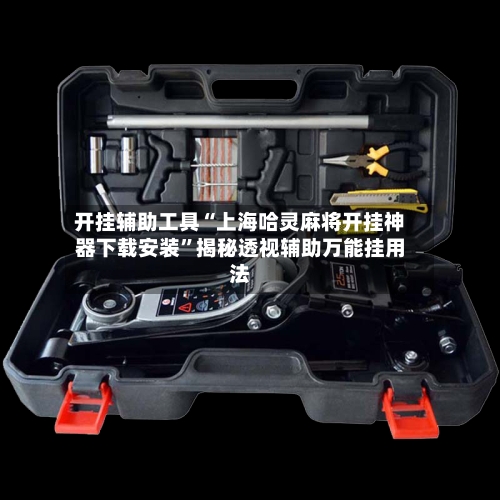 开挂辅助工具“上海哈灵麻将开挂神器下载安装	”揭秘透视辅助万能挂用法-第3张图片