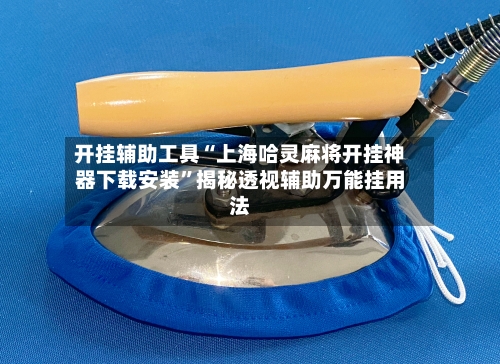 开挂辅助工具“上海哈灵麻将开挂神器下载安装”揭秘透视辅助万能挂用法-第2张图片