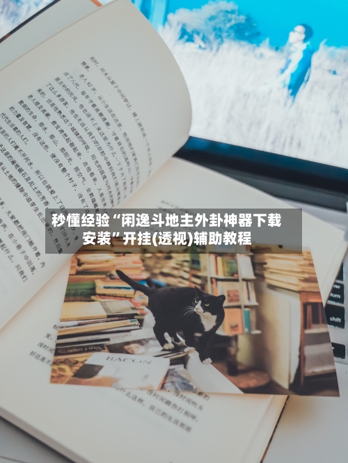 秒懂经验“闲逸斗地主外卦神器下载安装”开挂(透视)辅助教程-第3张图片