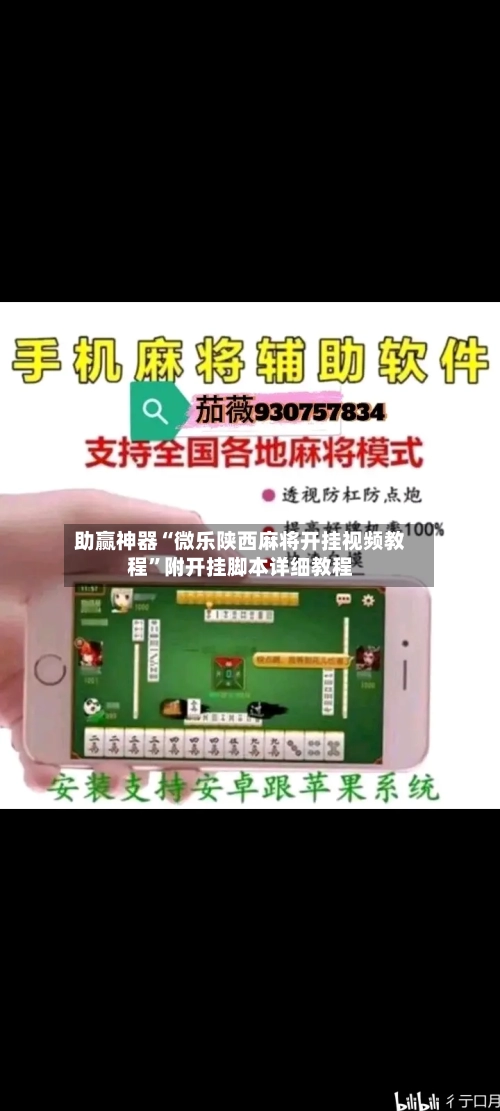 助赢神器“微乐陕西麻将开挂视频教程”附开挂脚本详细教程-第2张图片