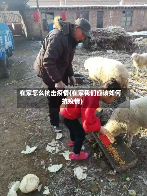 在家怎么抗击疫情(在家我们应该如何抗疫情)