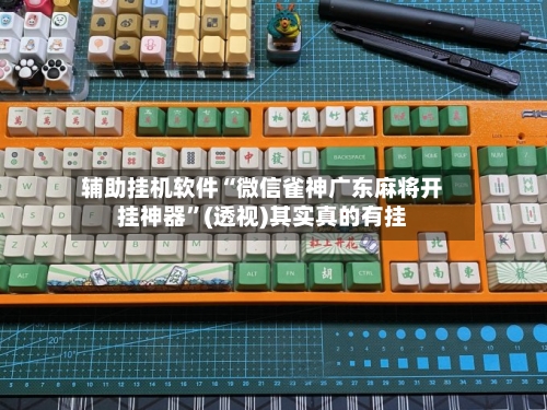 辅助挂机软件“微信雀神广东麻将开挂神器”(透视)其实真的有挂-第2张图片