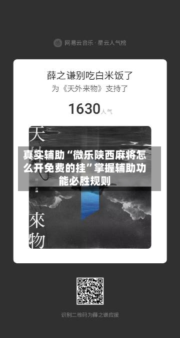 真实辅助“微乐陕西麻将怎么开免费的挂”掌握辅助功能必胜规则-第3张图片