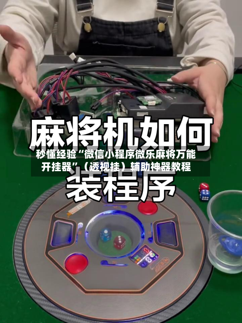 秒懂经验“微信小程序微乐麻将万能开挂器	”（透视挂）辅助神器教程-第3张图片