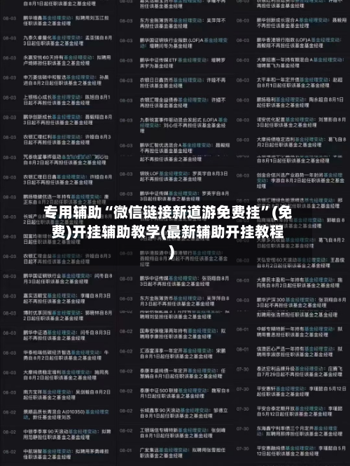 专用辅助“微信链接新道游免费挂”(免费)开挂辅助教学(最新辅助开挂教程)-第2张图片