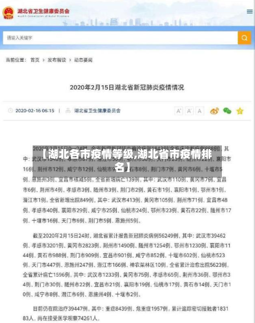 【湖北各市疫情等级,湖北省市疫情排名】
