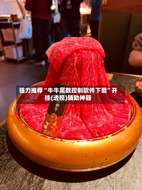 强力推荐“牛牛尾数控制软件下载”开挂(透视)辅助神器-第3张图片