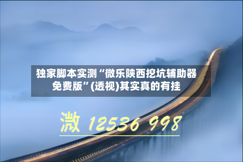 独家脚本实测“微乐陕西挖坑辅助器免费版”(透视)其实真的有挂-第2张图片