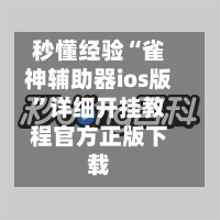 秒懂经验“雀神辅助器ios版	”详细开挂教程官方正版下载-第3张图片
