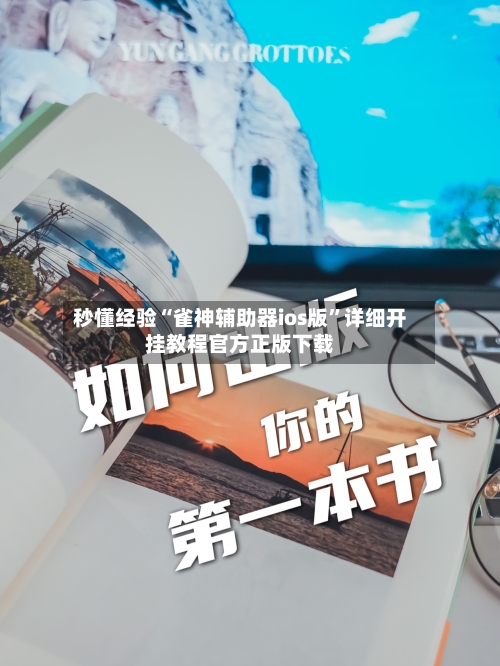 秒懂经验“雀神辅助器ios版”详细开挂教程官方正版下载-第2张图片