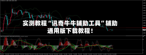 实测教程“讯奇牛牛辅助工具”辅助通用版下载教程！-第3张图片