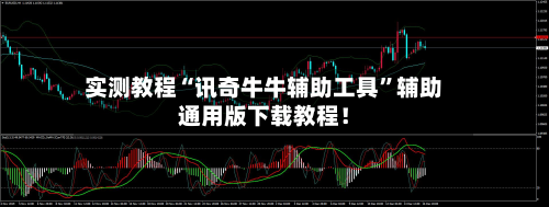 实测教程“讯奇牛牛辅助工具	”辅助通用版下载教程！-第2张图片