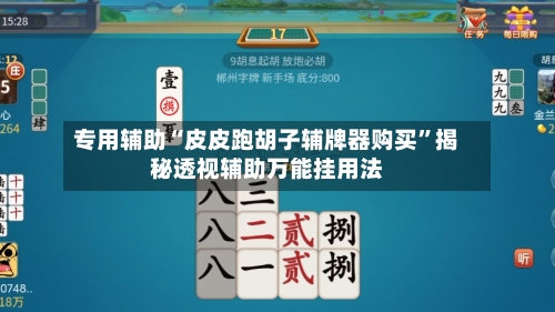 专用辅助“皮皮跑胡子辅牌器购买”揭秘透视辅助万能挂用法-第2张图片