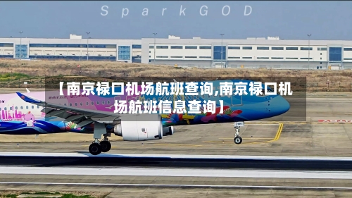 【南京禄口机场航班查询,南京禄口机场航班信息查询】-第3张图片