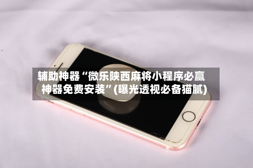 辅助神器“微乐陕西麻将小程序必赢神器免费安装”(曝光透视必备猫腻)-第2张图片