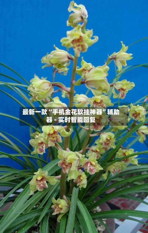 最新一款“手机金花软挂神器	”辅助器 - 实时智能回复-第2张图片