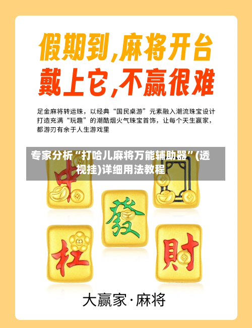 专家分析“打哈儿麻将万能辅助器”(透视挂)详细用法教程-第2张图片