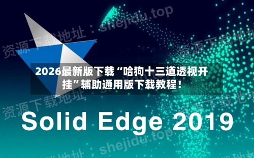2026最新版下载“哈狗十三道透视开挂”辅助通用版下载教程！-第2张图片