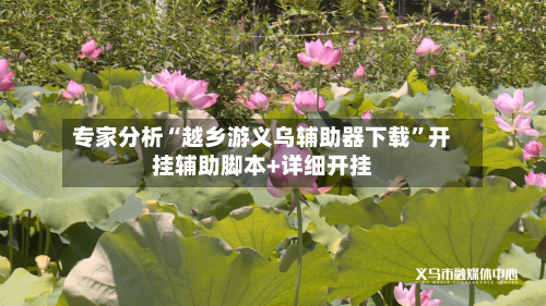 专家分析“越乡游义乌辅助器下载	”开挂辅助脚本+详细开挂-第2张图片