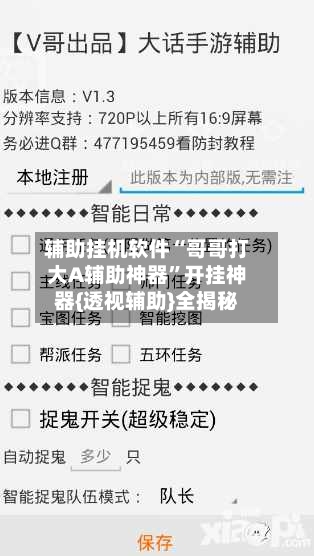 辅助挂机软件“哥哥打大A辅助神器”开挂神器{透视辅助}全揭秘-第2张图片