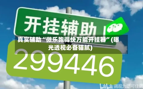 真实辅助“微乐跑得快万能开挂器”(曝光透视必备猫腻)-第3张图片