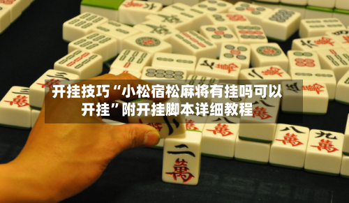 开挂技巧“小松宿松麻将有挂吗可以开挂”附开挂脚本详细教程-第2张图片