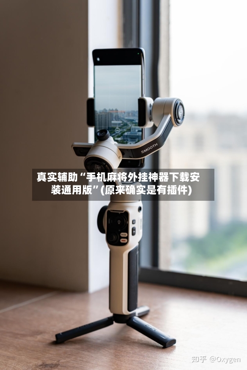 真实辅助“手机麻将外挂神器下载安装通用版”(原来确实是有插件)-第2张图片