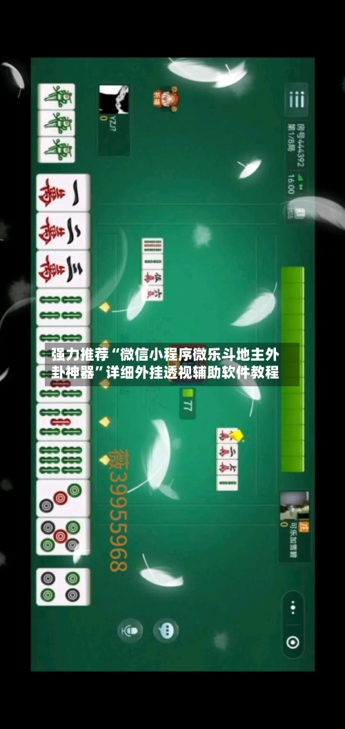 强力推荐“微信小程序微乐斗地主外卦神器”详细外挂透视辅助软件教程-第2张图片