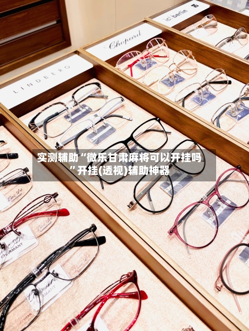 实测辅助“微乐甘肃麻将可以开挂吗”开挂(透视)辅助神器-第2张图片