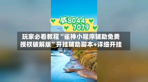 玩家必看教程“雀神小程序辅助免费授权破解版”开挂辅助脚本+详细开挂-第2张图片