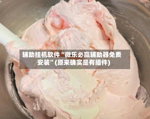 辅助挂机软件“微乐必赢辅助器免费安装”(原来确实是有插件)-第3张图片