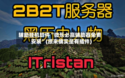 辅助挂机软件“微乐必赢辅助器免费安装	”(原来确实是有插件)-第2张图片