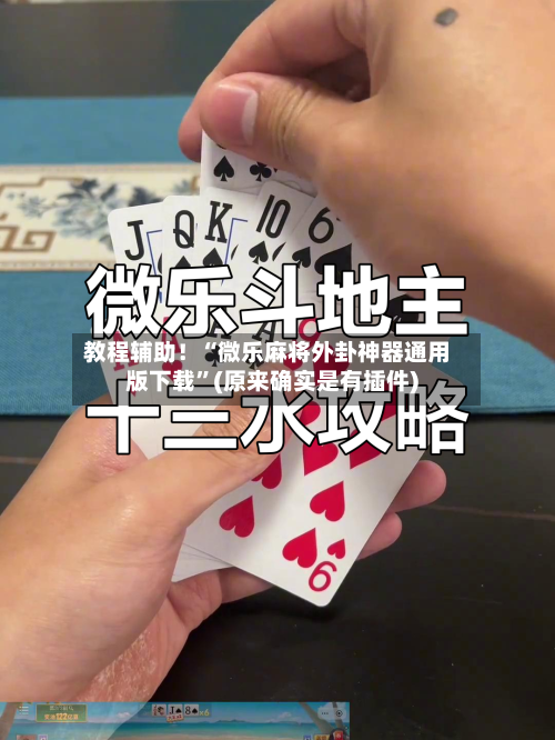 教程辅助！“微乐麻将外卦神器通用版下载”(原来确实是有插件)